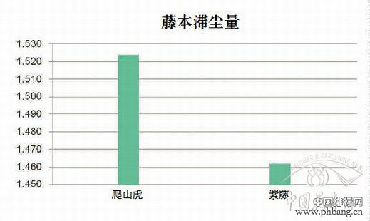 北京60种植物滞尘能力排行榜