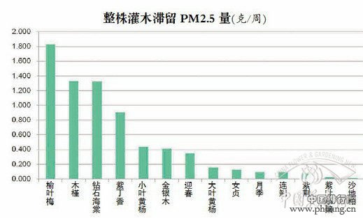 北京60种植物滞尘能力排行榜