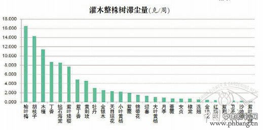 北京60种植物滞尘能力排行榜